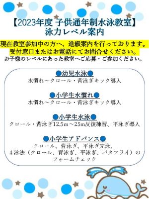 子供通年制　水泳教室のレベル】のサムネイル